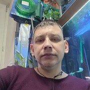 ���������� ������ ��������, ���� ������� ���������, 42 ����, ������������ ��� ������, ����� � ���������, c�������� ���������, ���������