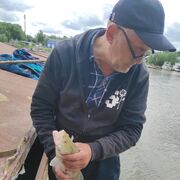  ,   , 57 ,   ,   