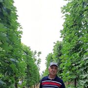  ,   , 58 ,   c 