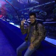 ���������� �����, ���� ������� ����, 48 ���, ������������ ��� ������, ����� � ���������, c�������� ���������