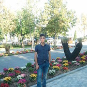  ,   Senan, 44 ,     , c 