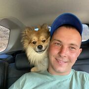 ���������� ����-���������, ���� ������� ��������, 31 ���, ������������ ��� ���������