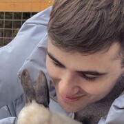 ���������� �����������, ���� ����� ������, 25 ���, ������������ ��� ������, ����� � ���������, c�������� ���������, ���������