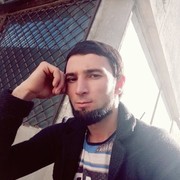  ,   Lion, 33 ,     , c , 