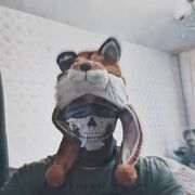 ���������� �������������, ���� ������� ���, 31 ���, ������������ ��� ������, ����� � ���������, c�������� ���������