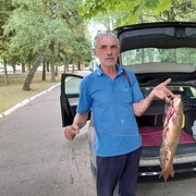  ,   , 61 ,   
