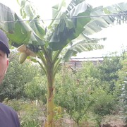  ,   , 32 ,   ,   , c , 