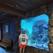 ���������� ������, ���� ������� Aleks, 40 ���, ������������ ��� ������, ����� � ���������