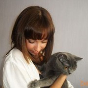  ,   , 31 ,  