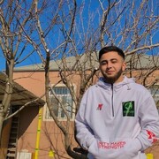 ���������� ������, ���� ����� ����, 24 ����, ������������ ��� ������, ����� � ���������