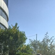 ���������� ����, ���� ������� ���������, 28 ���, ������������ ��� ������, ����� � ���������