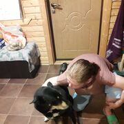 ���������� ������, ���� ������� ������, 44 ����, ������������ ��� ������, ����� � ���������, c�������� ���������