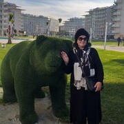  ,   , 65 ,  