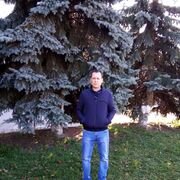 ���������� ������, ���� ������� ������, 46 ���, ������������ ��� ����� � ���������, c�������� ���������