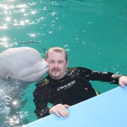 ���������� �����-���������, ���� ������� ����, 42 ����, ������������ ��� ������, ����� � ���������