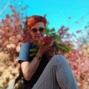 ���������� ���������, ������� ������, 54