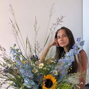 ���������� �����, ��������