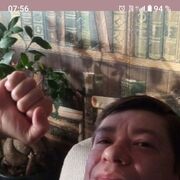  ,   , 41 ,   ,   , c , 