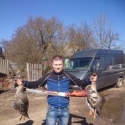 ���������� �����, ���� ������� �����, 44 ����, ������������ ��� ������, ����� � ���������, c�������� ���������