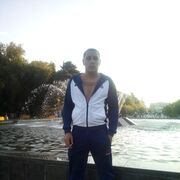 ���������� ����������, ���� ������� ����, 36 ���, ������������ ��� ������, ����� � ���������