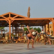 ���������� ��������, ���� ������� �������, 46 ���, ������������ ��� ����� � ���������, c�������� ���������