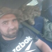  ,   , 43 ,   ,   