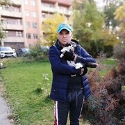  ,   , 43 ,     , c , 