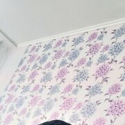 ���������� ������, ���� ������� ����, 38 ���, ������������ ��� ������, ����� � ���������