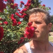  ,   Qahil, 55 ,   ,   