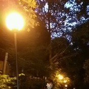 ���������� ������, ���� ������� �������, 31 ���, ������������ ��� ������, ����� � ���������, c�������� ���������