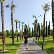 ���������� ���������, ���� ����� ������, 20 ���, ������������ ��� ������, ����� � ���������, ���������