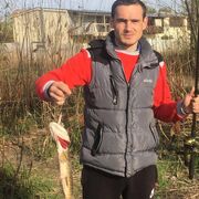  ,   Oleksii, 34 ,   ,   , c , 