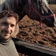  ,   , 40 ,   ,   