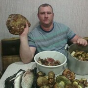  ,   , 49 ,     , c 