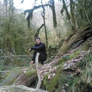  ,   , 40 ,   