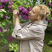 ���������� ������, ���� ������� �����, 50 ���, ������������ ��� ������, ����� � ���������, c�������� ���������, ���������