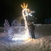 ���������� ������, ���� ������� �����, 28 ���, ������������ ��� ������, ����� � ���������, c�������� ���������