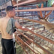 ���������� �����, ���� ������� ����, 31 ���, ������������ ��� ������, ���������