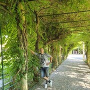 ���������� ����, ���� ������� ���, 44 ����, ������������ ��� ������, ����� � ���������, c�������� ���������, ���������