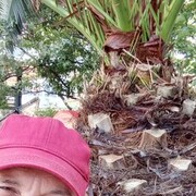 ���������� ����, ���� ������� ����, 46 ���, ������������ ��� ������, ����� � ���������