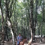  ,   Senan, 40 ,   ,   , c 