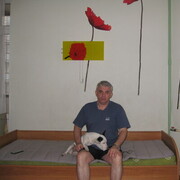  Rome,   Leo, 52 ,     , c 