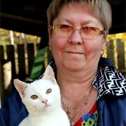  ,   , 66 ,     