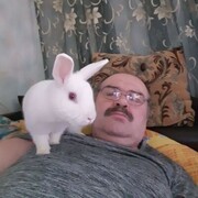  ,   , 56 ,   ,   , c 