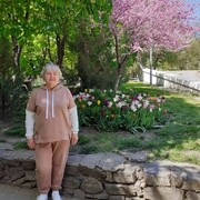  ,   , 66 ,   ,   