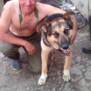  ,   , 56 ,   