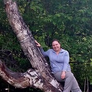 ���������� �������, ���� ������� �������, 40 ���, ������������ ��� c�������� ���������