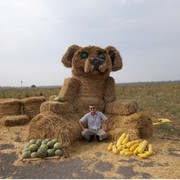 ���������� ���������, ���� ������� �������, 55 ���, ������������ ��� ������, ����� � ���������, c�������� ���������