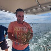 ���������� ��������, ���� ������� �����, 43 ����, ������������ ��� ����� � ���������, c�������� ���������