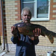 ���� 5,3 ��